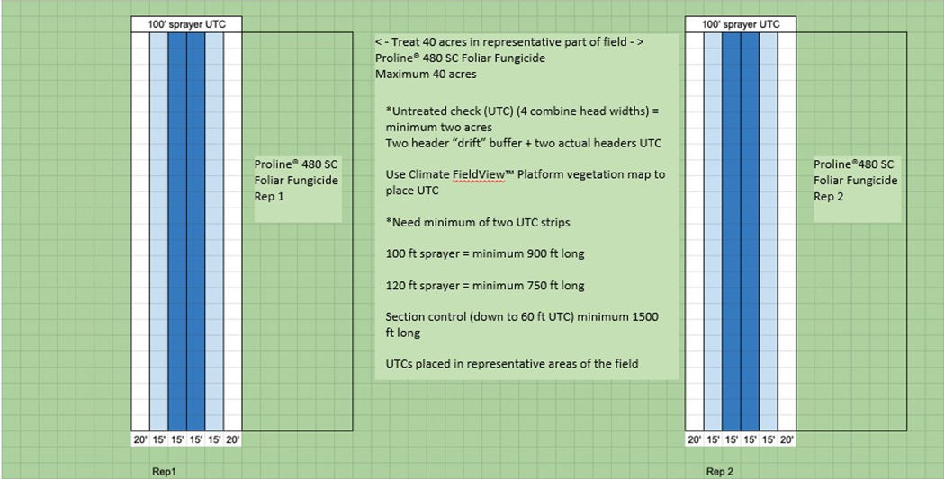 Field layout example 2